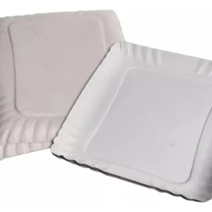 bandeja ecologica carton nº1