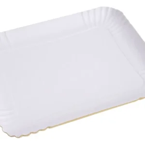 bandeja ecologica carton nº3