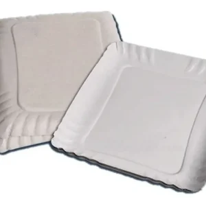 bandeja ecologica carton nº4