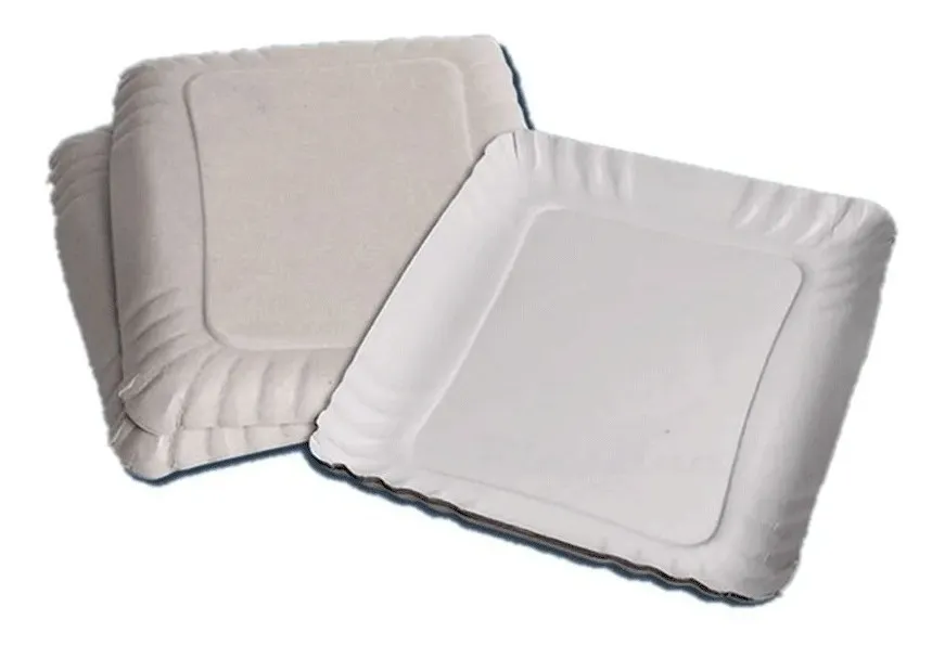 bandeja ecologica carton nº4 bandeja ecologica carton nº4