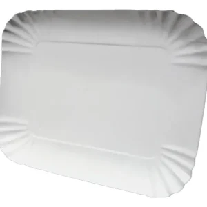 bandeja ecologica carton nº5